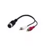 Wentronic Goobay DIN/RCA-Adapterkabel, 0,2 m – DIN-Buchse 180° (5-polig) > 2x RCA-Stecker (Audio links/rechts) (50004)