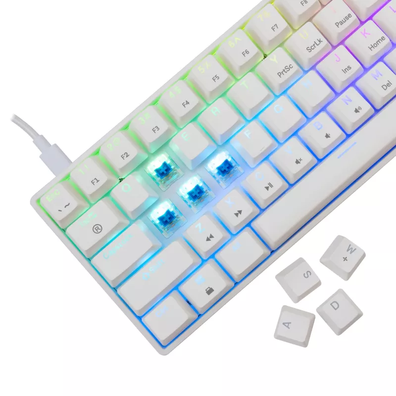 Kabelgebundene mechanische Tastatur White Shark Shinobi-2 (GK-004221) — blaue Schalter, Weiß, US-Layout