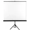 Avtek Tripod Standart 175 Projektionsleinwand 1:1