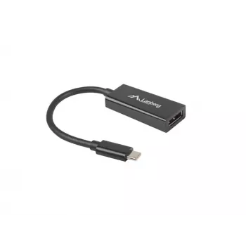 Video-Kabeladapter Lanberg AD-UC-DP-01