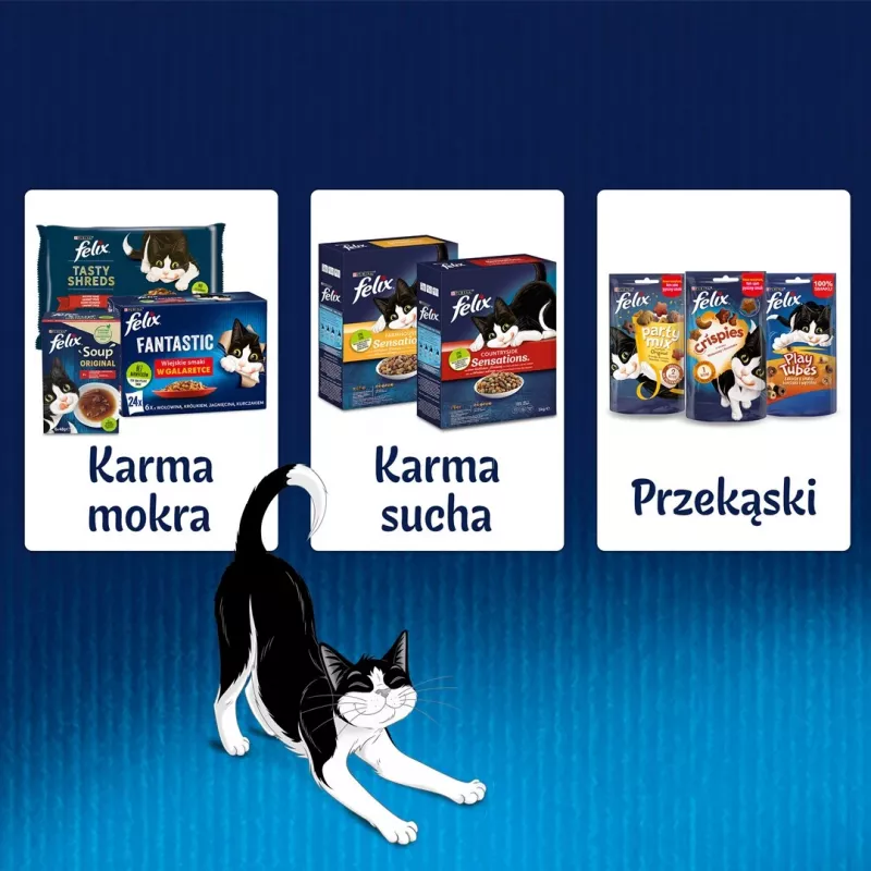 Nassfutter für Katzen Felix PURINA Beutel 85 g — adult Kaninchengeschmack, 82% Feuchtigkeit, 11,5% Protein