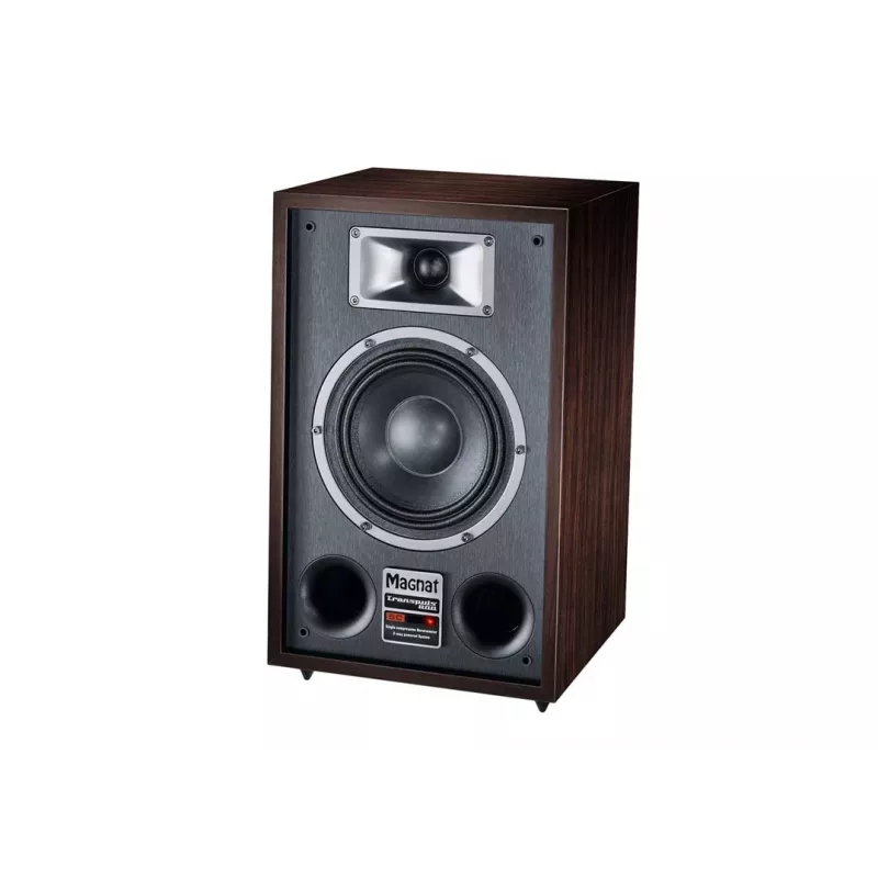 Standlautsprecher Magnat TRANSPULS 800A 2-Wege kabelgebunden & kabellos 2×60 W, Bluetooth 5.0, HDMI, Schwarz/Braun