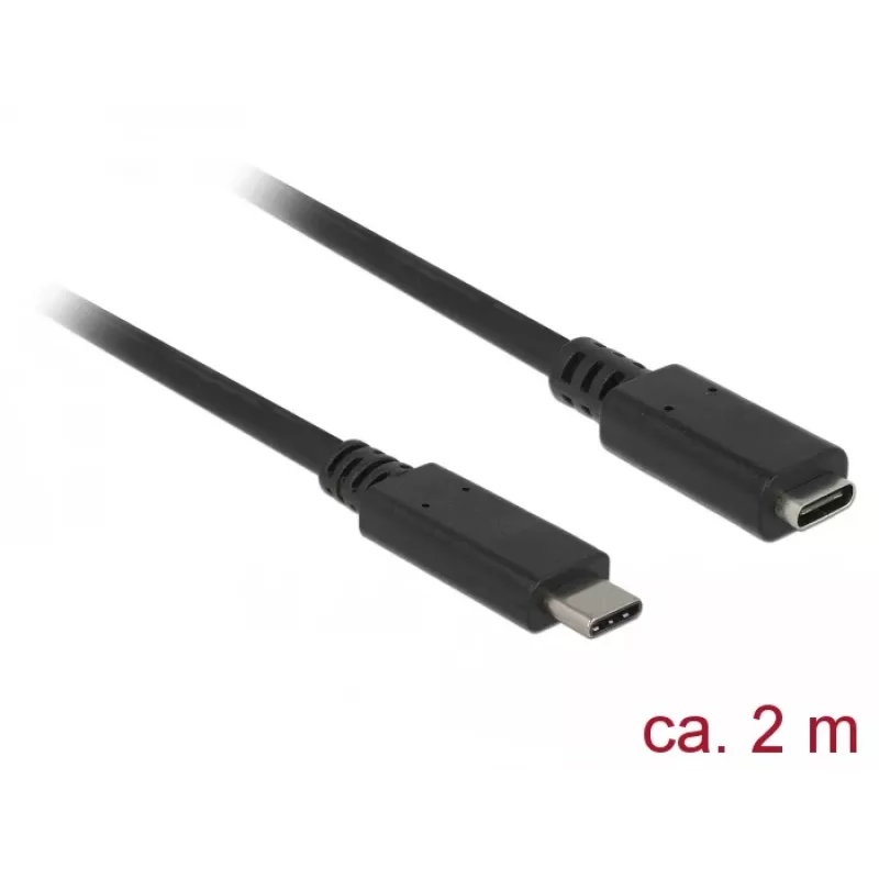 USB-Kabel DeLOCK SuperSpeed USB 3.2 Gen 1 2 m USB-C Schwarz