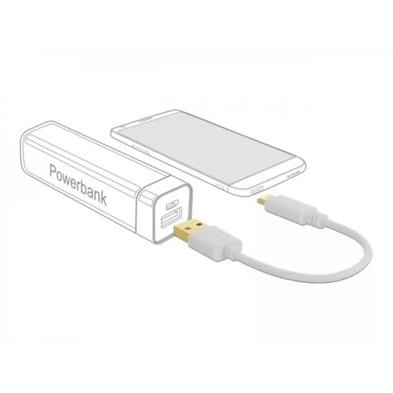 USB-Ladekabel DeLOCK Typ-A auf USB Typ-C 15 cm