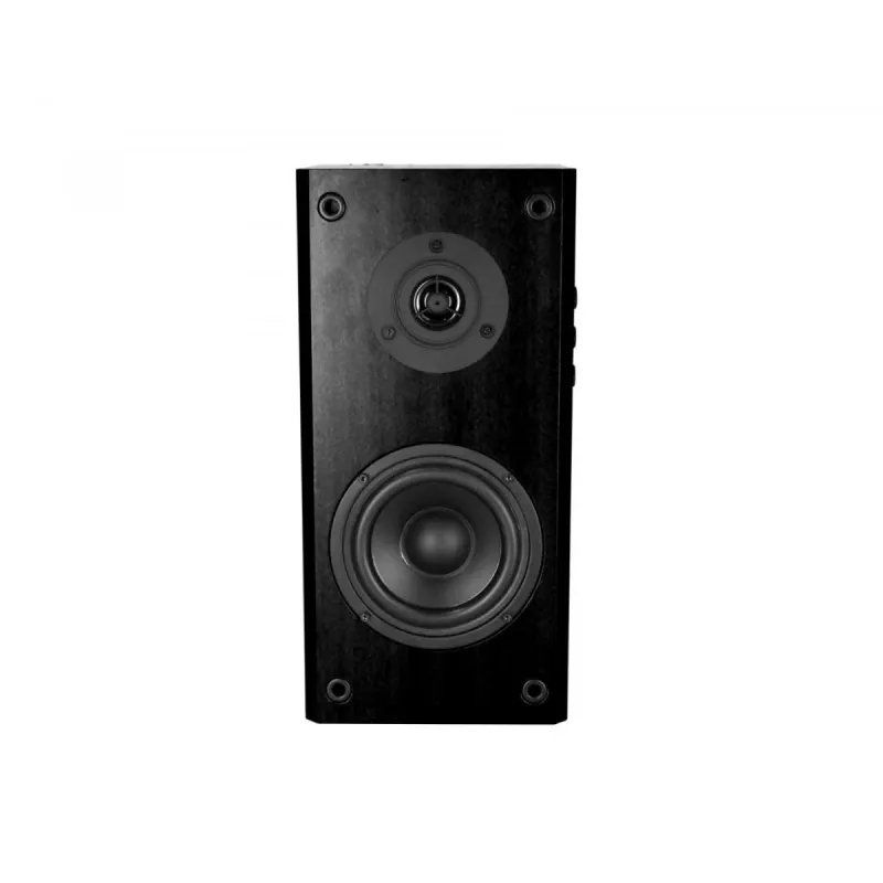 Lautsprecher Audience HQ MT3143 (2x 20W RMS) Stereo MT3143K