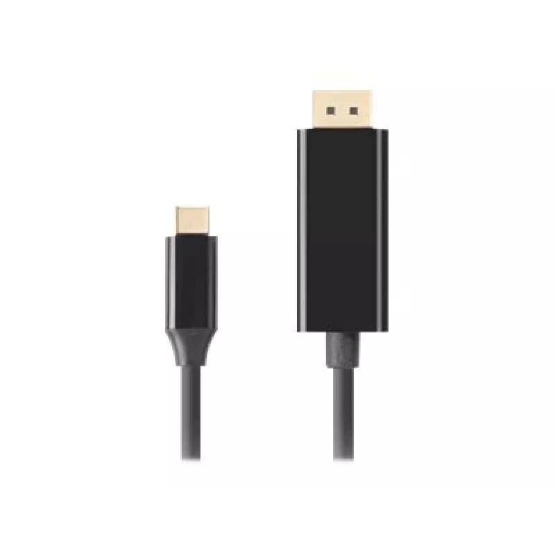 USB-C-zu-DisplayPort-Adapter Lanberg CA-CMDP-10CU-0018-BK Schwarz 1,8 m