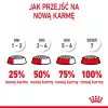 Trockenfutter für Katzen Royal Canin Kitten 2 kg — Geflügel- (Hühner-) Rezeptur, Protein 36 %, Fett 18 %