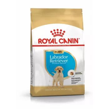 ROYAL CANIN SHN Breed Labrador Junior Trockenfutter für Hunde - 12 kg