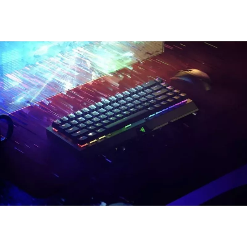 Razer SchwarzWidow V3 Mini HyperSpeed Tastatur
