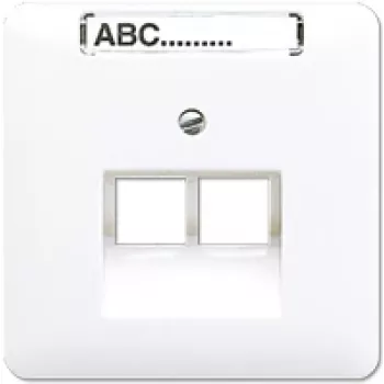 Wandsteckdose RJ-45 Jung CD 569-2 NAUA WW — Weiß