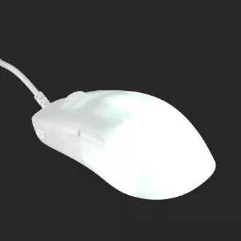 Endgame Gear OP1 RGB Maus Gaming Rechtshänder USB Typ-A Optisch 26000 DPI