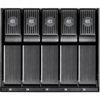 SilverStone SilvStone SST-FS305-12G - Laufwerksgehäuse - 3,5