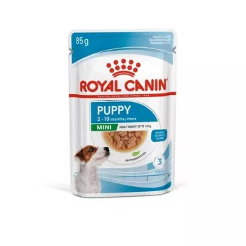 ROYAL CANIN SHN Mini Puppy in Sauce - Nassfutter für Welpen - 12X85g
