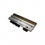 Zebra TLP2824 Druckkopf-Baugruppe (203 dpi) Druckkopf