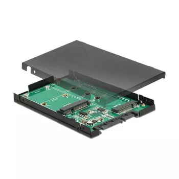 Schnittstellenkarte DeLOCK 62866 Intern M.2 mSATA