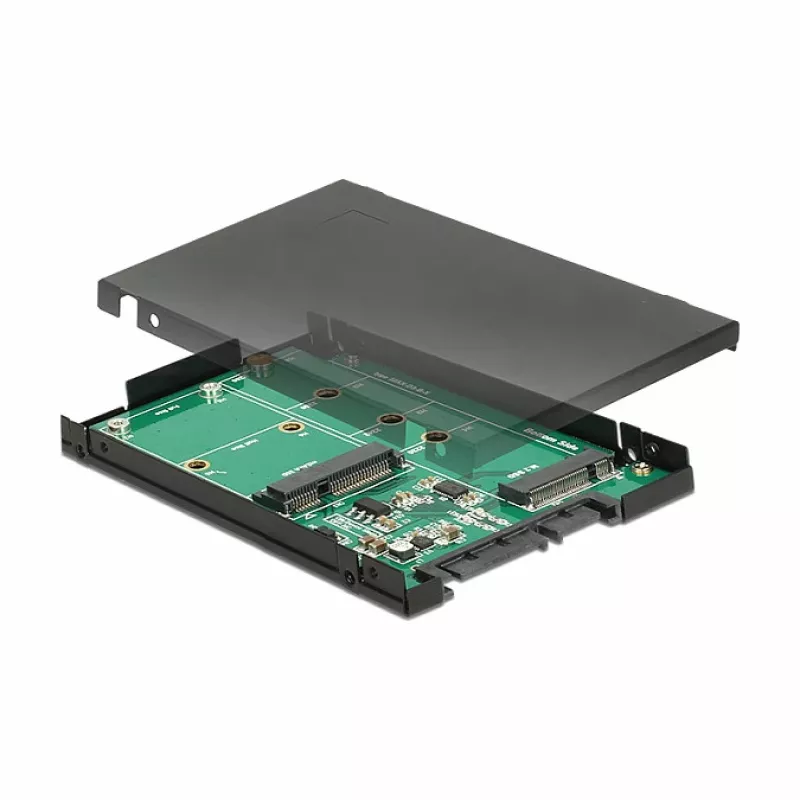 Schnittstellenkarte DeLOCK 62866 Intern M.2 mSATA