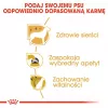 ROYAL CANIN BHN Yorkshire Terrier Adult - Trockenfutter für Hunde - 3kg