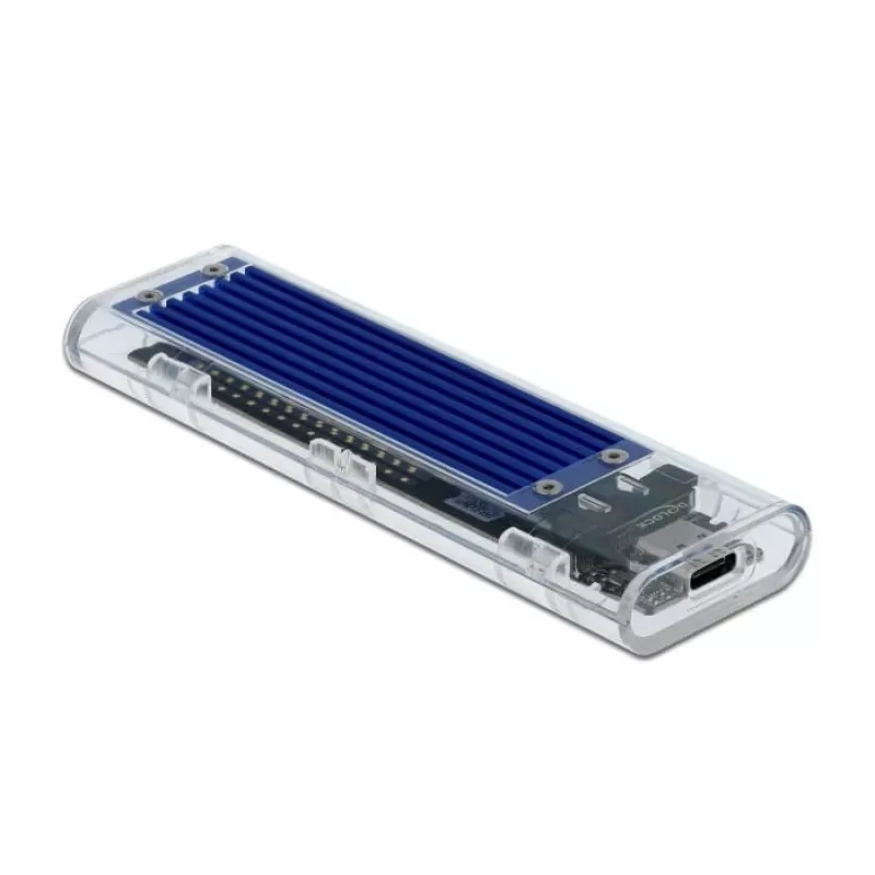SSD-Gehäuse DeLOCK 42620 Externes Gehäuse für M.2 NVME PCIe SSD mit USB Typ-C-Buchse, transparent