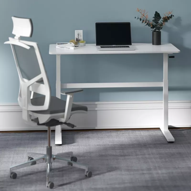 Manuell höhenverstellbarer Schreibtisch Ergo Office, max. 40 kg, max. Höhe 117 cm, mit Tischplatte für Arbeiten im Stehen und Sitzen, ER-401 W