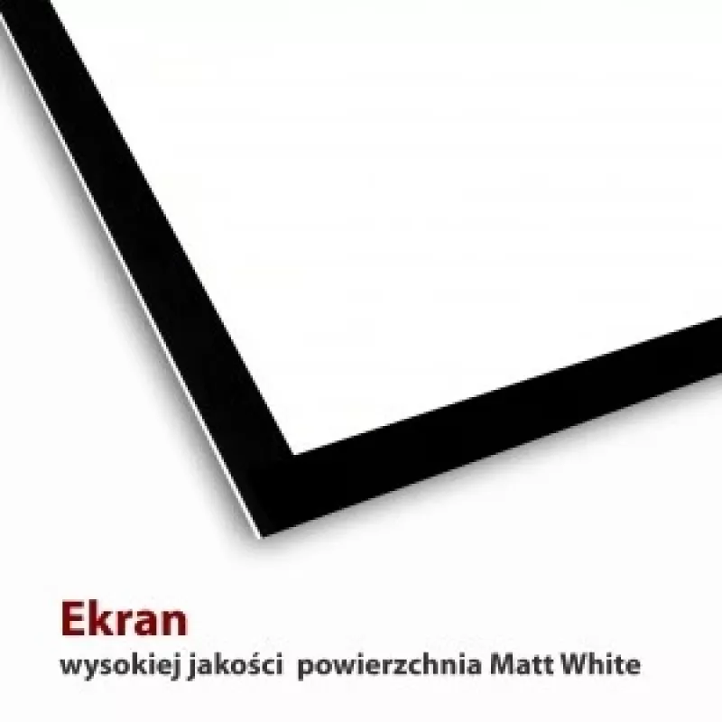 Elektrische Leinwand 16:9 119 mit Fernbedienung 264x147cm FS-119 16 9