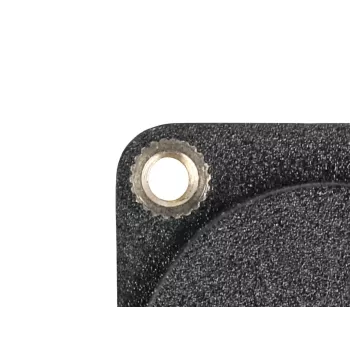 DeLOCK D-Typ-Modul DisplayPort Buchse auf Buchse 4K Schwarz