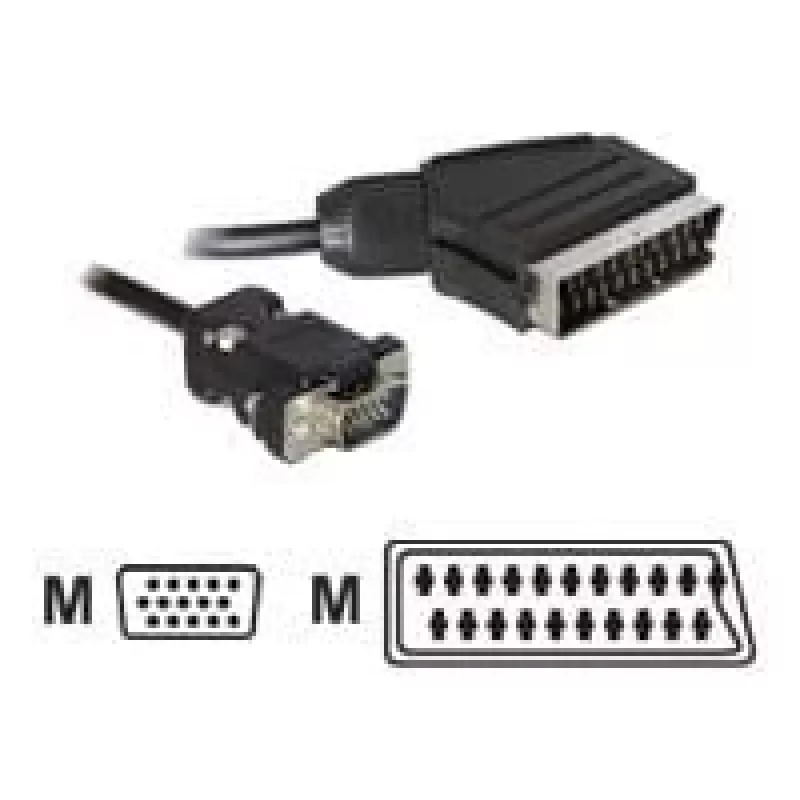 Videokabeladapter DeLOCK 65028 SCART (21-polig) auf VGA (D-Sub) 2 m