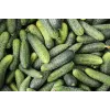 Wisconsin Gurke SMR 58 Toraf Gemüsesamen, 5g Packung