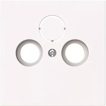BUSCH-JAEGER 1743-44G Zentralabdeckung Antenne 2/Dreifach (2CKA001724A4432)