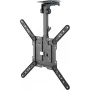 Goobay TV-Deckenhalterung Basic (M), schwarz (70824)