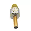 Mikrofon MANTA MIC10-G Gold Niere tragbar — Kondensator-Niere, Handdesign