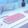 Glorious PC Gaming Race GMMK ABS Doubleshot V2 UK Basis-Set - pink (GLO-KC-ABS-UKKIT-P)