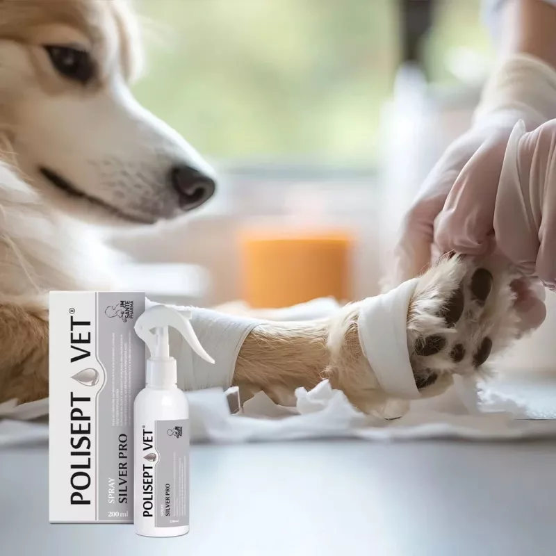 Antiseptisches Spray JM Sante Polisept Vet Silver Pro 200 ml — veterinäres Wund- und Hautspray für Tiere