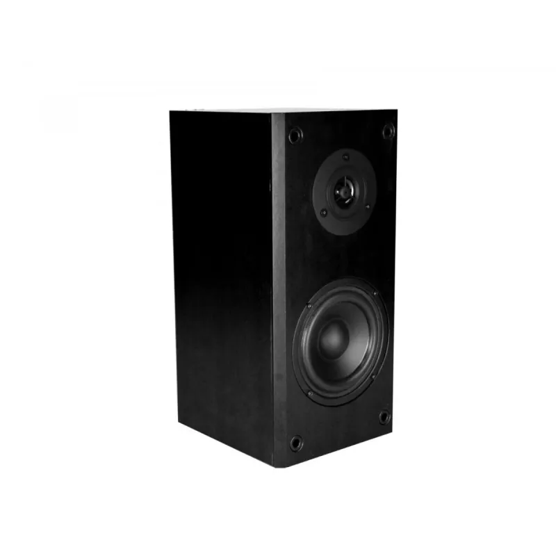 Lautsprecher Audience HQ MT3143 (2x 20W RMS) Stereo MT3143K