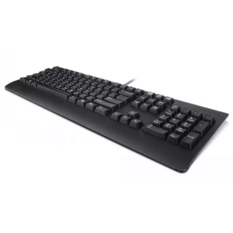 Lenovo Preferred Pro II Tastatur kabelgebunden USB QWERTY Nordisch Schwarz
