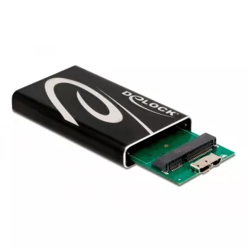 SSD-Gehäuse DeLOCK 42006