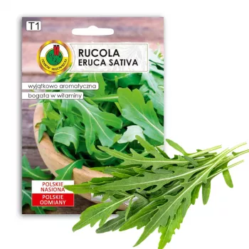 Saatband — Apte Rukola (Eruca sativa) 6 m für Haus- und Gartenanbau