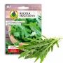Saatband — Apte Rukola (Eruca sativa) 6 m für Haus- und Gartenanbau