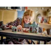 LEGO HARRY POTTER 76428 Hagrids Hütte – Ein unerwarteter Besuch
