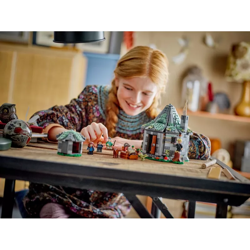 LEGO HARRY POTTER 76428 Hagrids Hütte – Ein unerwarteter Besuch