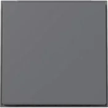 GIRA 329667 Wippe Gira TX_44 (WG UP) Anthrazit