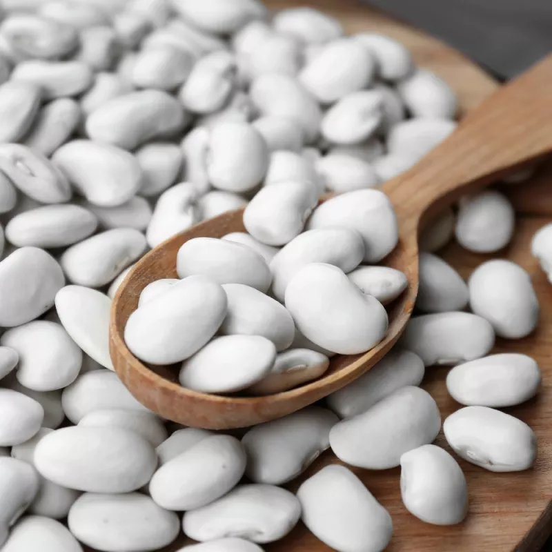 Saatgutpackung Seklos LT PNOS — Trockenbohnen 'Igłomska' Samen, 50 g