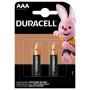 Alkaline-Batterie Duracell Basic MN2400 AAA — 2er-Pack, Einwegbatterien für Geräte mit geringem bis mittlerem Stromverbrauch