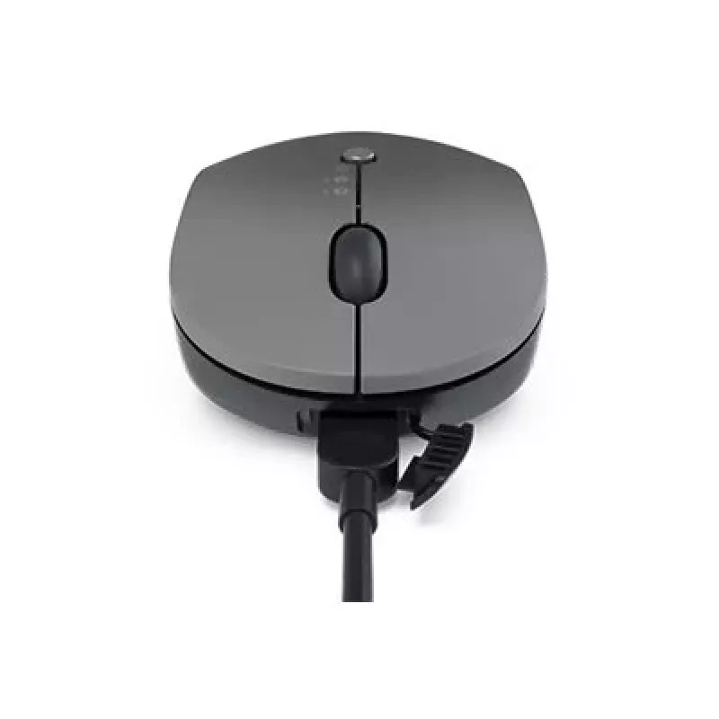 Lenovo Go Wireless Multi-Device-Maus Office Beidhändig RF Wireless + Bluetooth + USB Typ-A Optisch 2400 DPI