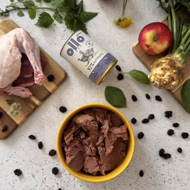 OLLO Umami Ente und Pute - Nassfutter für Hunde - 850g