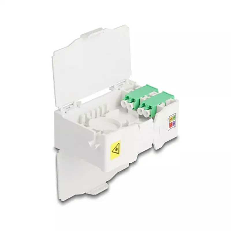 Delock 88098 Solid-State-Laufwerk