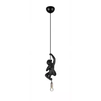 Pendelleuchte TRIO R36551002 – E14-Fassung, schwarze Ausführung
