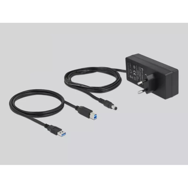 Delock DELOCK-63669 Produkt Grau