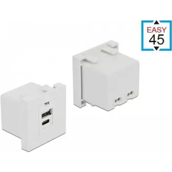 Steckdose USB A + USB C DeLOCK 81313