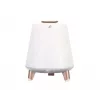Tragbarer Lautsprecher Blaupunkt BT25LAMP Weiß