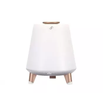 Tragbarer Lautsprecher Blaupunkt BT25LAMP Weiß